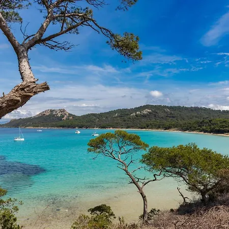 Lägenhet Peaceful Seaview With & Pool Access, Air Conditioning Bormes-les-Mimosas